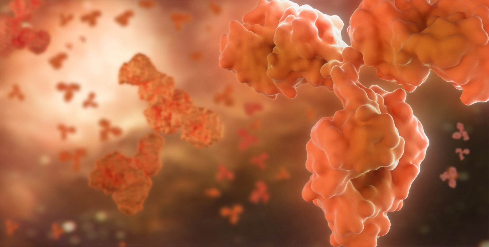 東富龍科技集團(tuán)股份有限公司