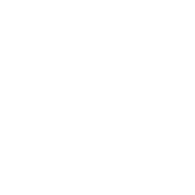 東富龍科技集團(tuán)股份有限公司